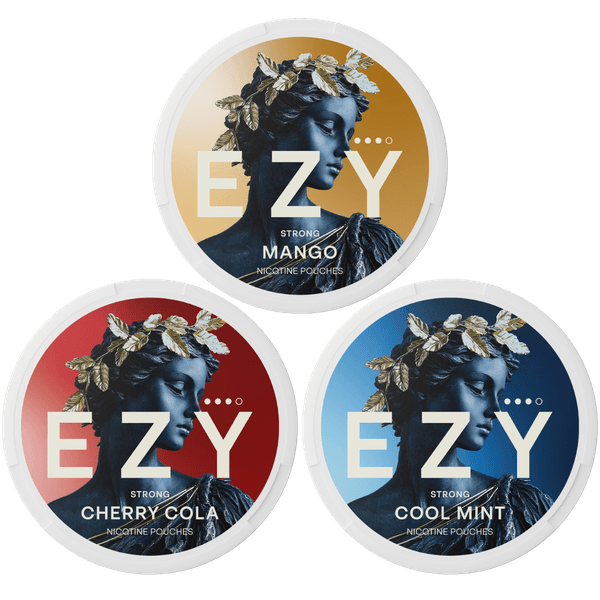 EZY EZY Mix Pack Strong nicotinezakjes